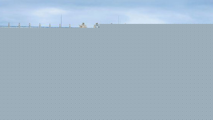 Versailles : les tags antisémites sur la sculpture d'Anish Kapoor vont être effacés Versailles : les tags antisémites sur la sculpture d'Anish Kapoor vont être effacés