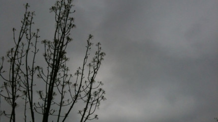 Villeurbanne : les parcs, jardins et cimetières de Villeurbanne fermés ce samedi en raison des vents violents Villeurbanne : les parcs, jardins et cimetières de Villeurbanne fermés ce samedi en raison des vents violents