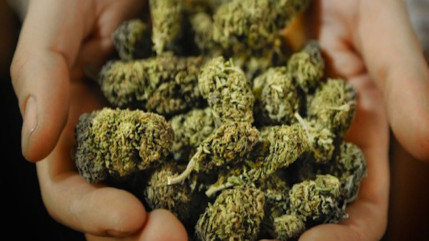 Le Canada compte adopter des lois "qui légaliseront et règlementeront la consommation de marijuana", devenant le premier pays du G7 à le faire Le Canada compte adopter des lois "qui légaliseront et règlementeront la consommation de marijuana", devenant le premier pays du G7 à le faire