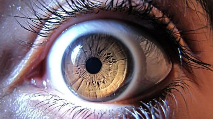 En 2050, une personne sur deux sera myope selon une étude australienne En 2050, une personne sur deux sera myope selon une étude australienne