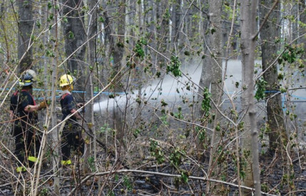 Un incendie ravage une centaine d’hectares de forêt et détruit une maison à Beaujeu Un incendie ravage une centaine d’hectares de forêt et détruit une maison à Beaujeu