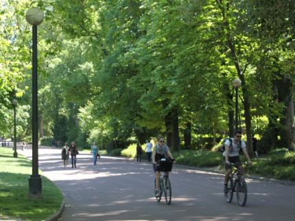 Lyon va planter des arbres pour ne subir le m&ecirc;me climat qu'Alger d'ici 80 ans