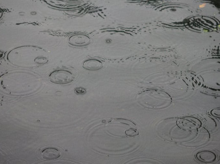 Météo à Lyon : des orages attendus tout le week-end Météo à Lyon : des orages attendus tout le week-end