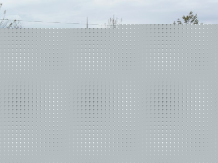 8 mai : les lignes TCL renforcées à l’occasion ce vendredi 8 mai : les lignes TCL renforcées à l’occasion ce vendredi