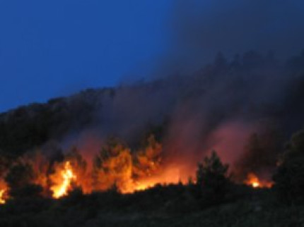 1,5 hectares partent en fum&eacute;e dans les Monts du Lyonnais