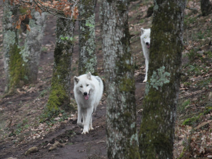 Que faire ce week-end des 27 et 28 février à Lyon ? Que faire ce week-end des 27 et 28 février à Lyon ?