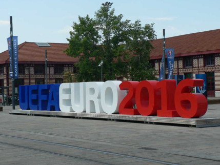 La Métropole de Lyon recherche 350 volontaires pour l’Euro 2016 La Métropole de Lyon recherche 350 volontaires pour l’Euro 2016