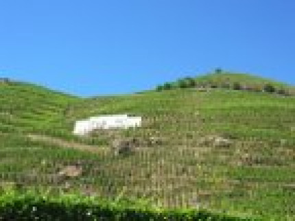 Du Crémant de Bourgogne dans le Beaujolais Du Crémant de Bourgogne dans le Beaujolais