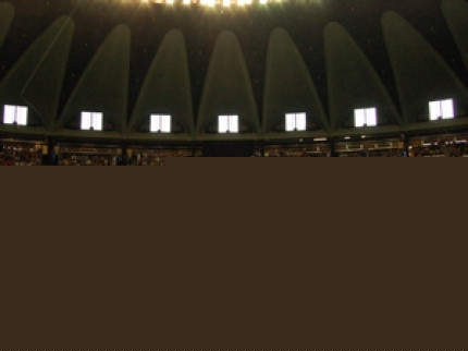 Fabrice Tiozzo a un projet pour Lyon Fabrice Tiozzo a un projet pour Lyon