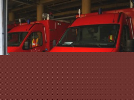 Intervention insolite pour les pompiers de Givors