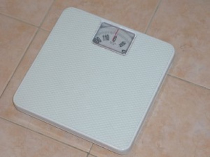 L'ob&eacute;sit&eacute; en question &agrave; Bron