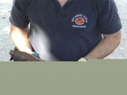 La drôle de découverte d’un ouvrier à la mi-journée La drôle de découverte d’un ouvrier à la mi-journée