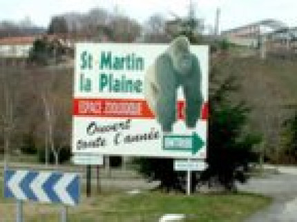 La femelle kangourou disparue dans la Loire a été retrouvée