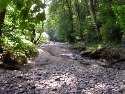 La sécheresse frappe le Rhône La sécheresse frappe le Rhône