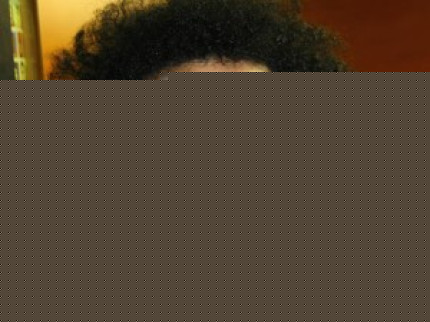 Le conseil municipal également opposé à la venue de Dieudonné Le conseil municipal également opposé à la venue de Dieudonné