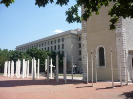 Les arbres de la place Antonin Poncet d&eacute;racin&eacute;s