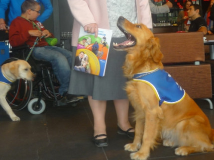 Les chiens guides d'aveugles en démonstration place Carnot Les chiens guides d'aveugles en démonstration place Carnot