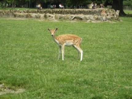 Rh&ocirc;ne: portes ouvertes dans les fermes