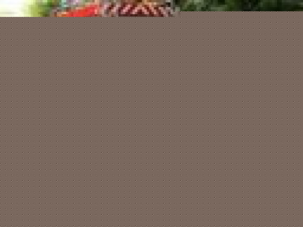 Trois blessés sur l’A47 hier Trois blessés sur l’A47 hier