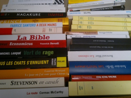 Deux Lyonnais dans le dernier carré du Prix Goncourt Deux Lyonnais dans le dernier carré du Prix Goncourt