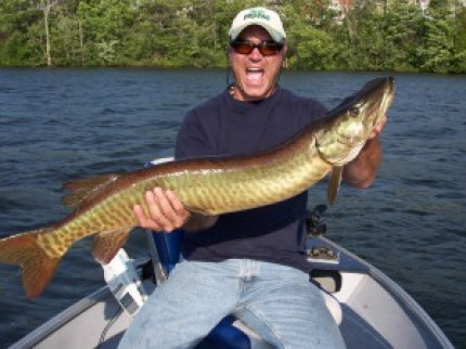 Une nouvelle étude sur le PCB Une nouvelle étude sur le PCB