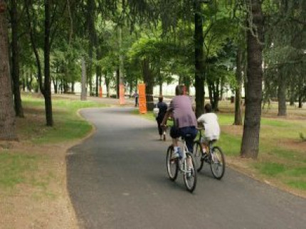 Vers une promenade verte à Villeurbanne Vers une promenade verte à Villeurbanne