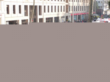  Manifestation bien suivie &agrave; Lyon