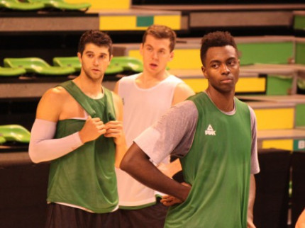 FIBA Cup : l’ASVEL s’impose facilement contre les Slovènes du Krka Novo Mesto (88-60) FIBA Cup : l’ASVEL s’impose facilement contre les Slovènes du Krka Novo Mesto (88-60)