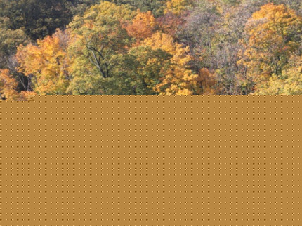 Lyon : l’élagueur était en fait un cambrioleur Lyon : l’élagueur était en fait un cambrioleur