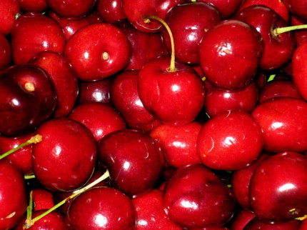 Rhône : une production de cerises exceptionnelle Rhône : une production de cerises exceptionnelle
