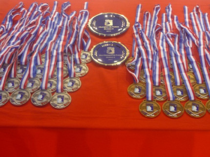 CNRS : 3 médailles d’argent pour des chercheurs lyonnais CNRS : 3 médailles d’argent pour des chercheurs lyonnais