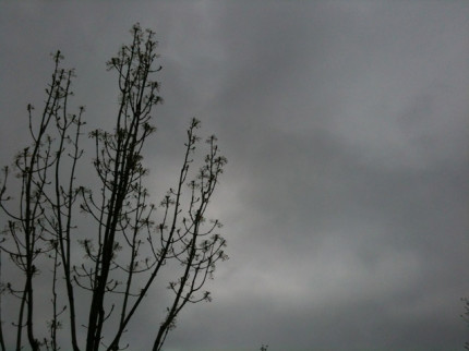 Lyon : les habitudes des consommateurs suivent les caprices de la m&eacute;t&eacute;o