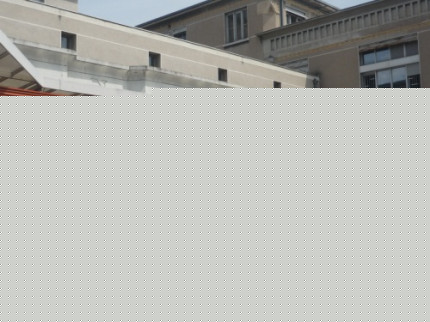 Sainte-Foy-Lès-Lyon : interné après avoir poignardé son père