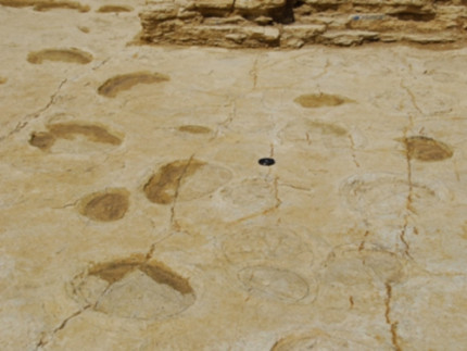 Record insolite pour le département de l'Ain Record insolite pour le département de l'Ain