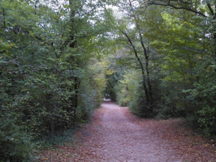 Recherché en Savoie après une violente chute, le vététiste est retrouvé à Lyon Recherché en Savoie après une violente chute, le vététiste est retrouvé à Lyon