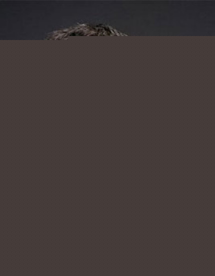 Robbie William amnésie ou mise en scène ?