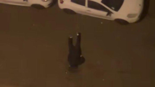 Tirs en pleine nuit pr&egrave;s de Lyon : la tension monte