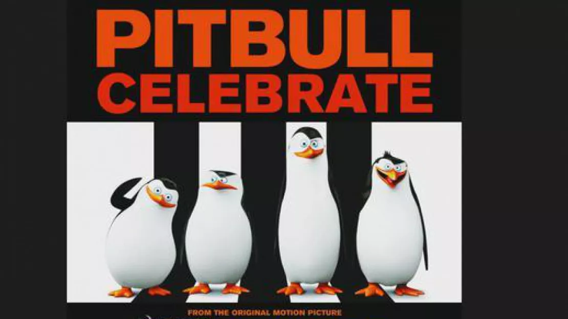 Découvrez le clip de "Celebrate" de Pitbull!