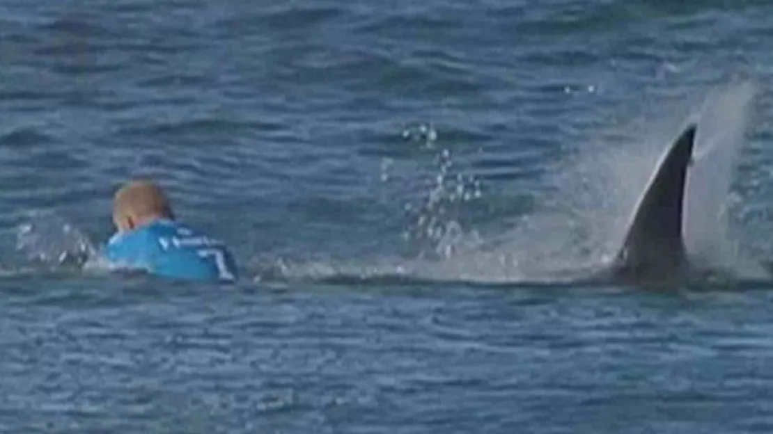 L'incroyable attaque d'un requin sur un surfeur!