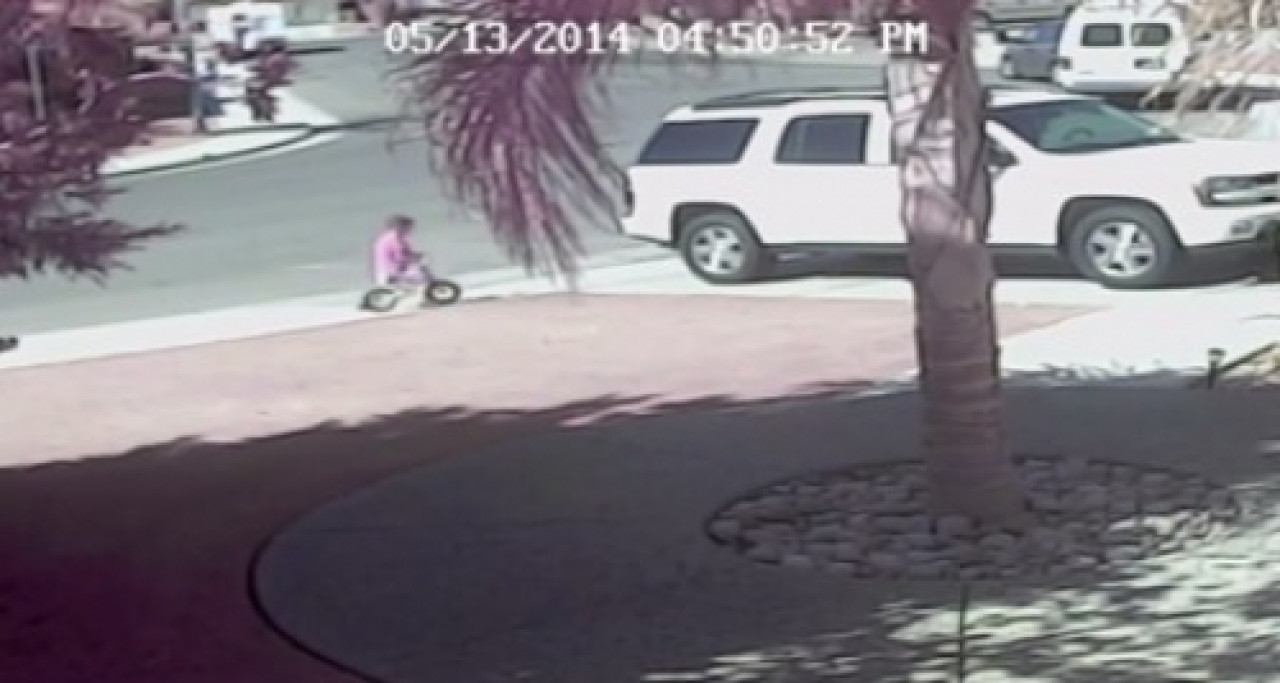 Un chat défend son jeune maître contre un chien Un chat défend son jeune maître contre un chien