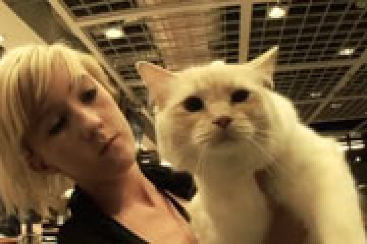 100 chats chez Ikea 100 chats chez Ikea