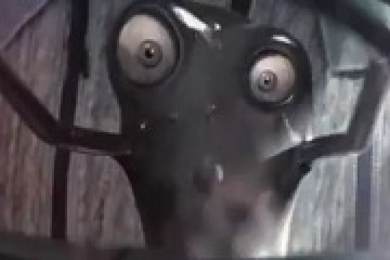 Michael Canitrot - When you got love