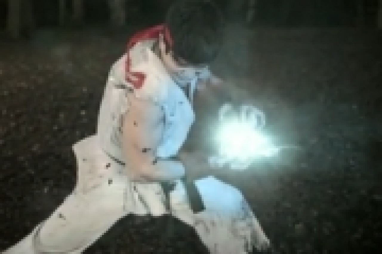 Street Fighter en vrai