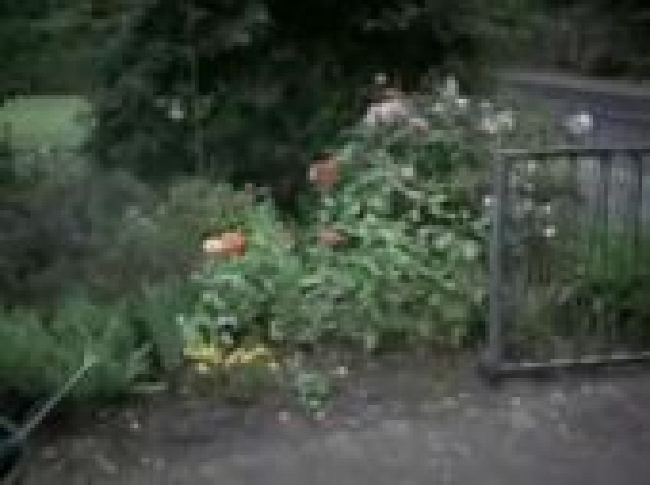 Ca peut &eacute;viter des accidents...