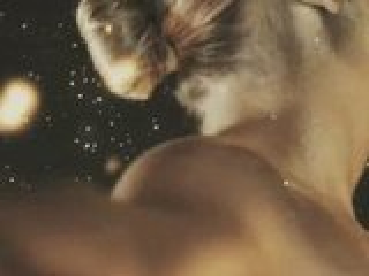 Antoine Clamaran - Gold