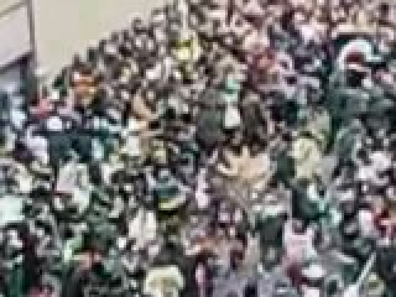 [CHOC] &eacute;meute &agrave; New York! 