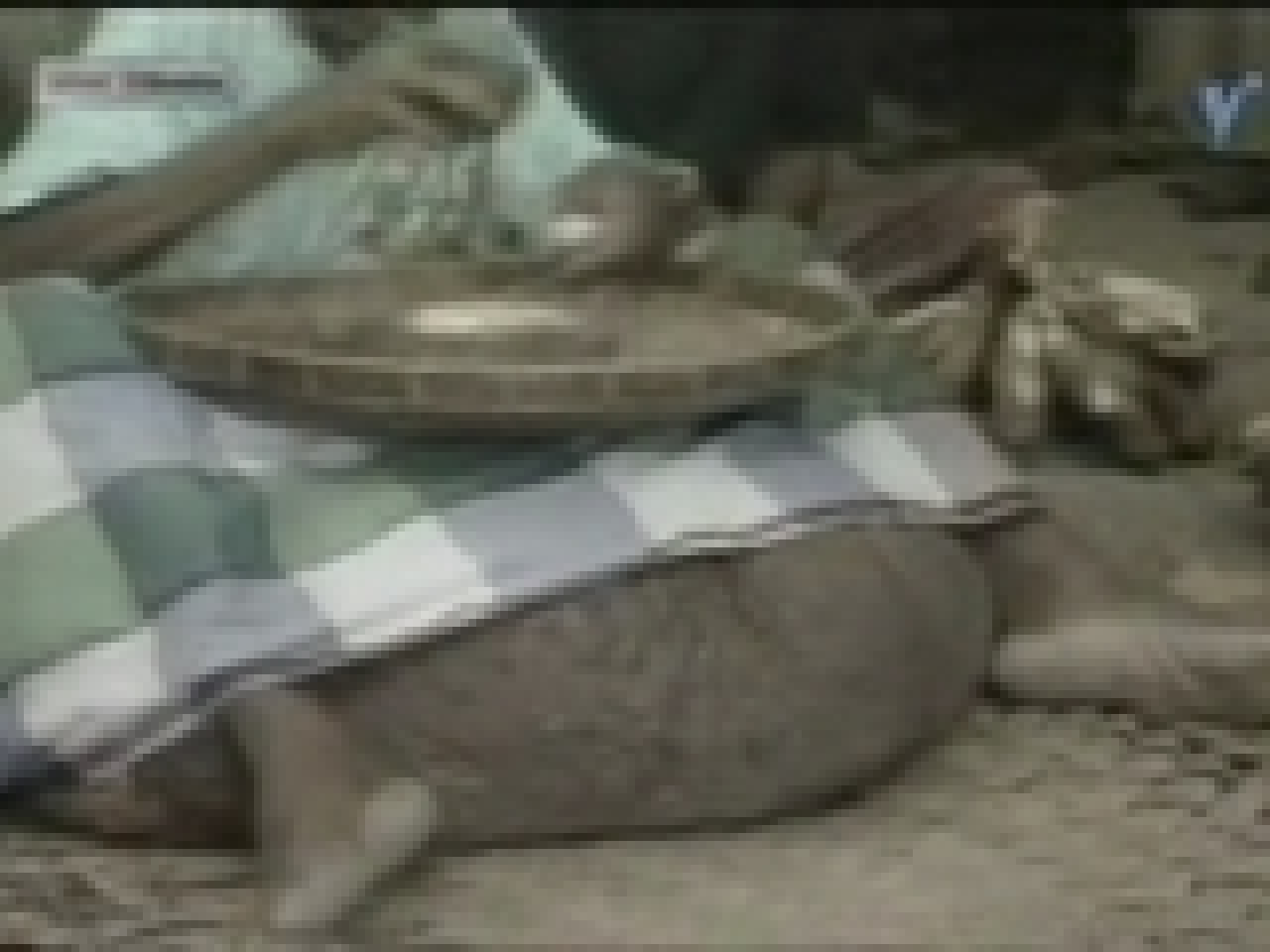 Grosse paire de c....