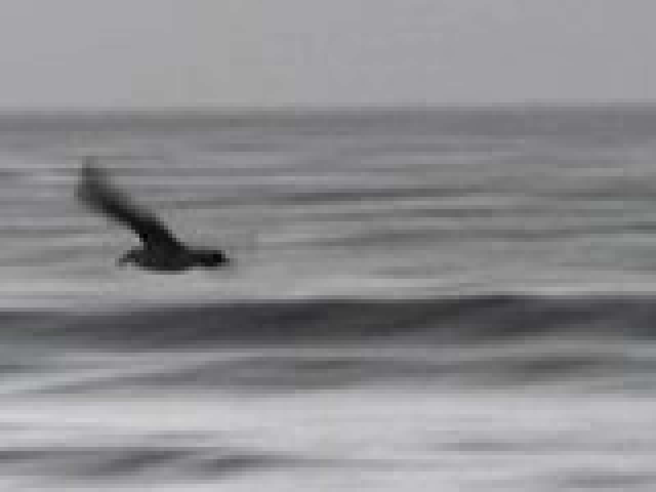 John Dahlback & Basto - Out there 