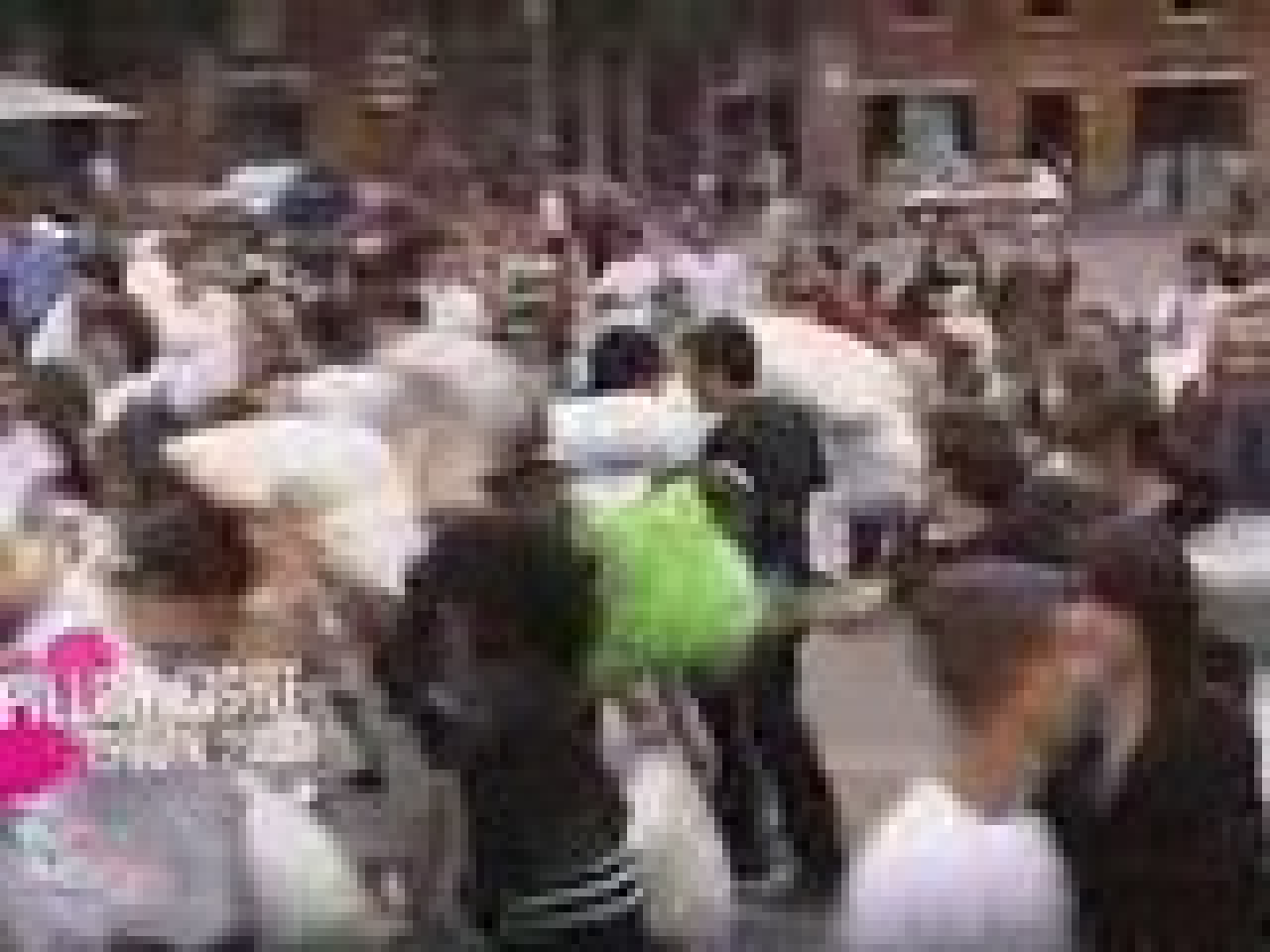 La + grosse bataille de polochons! La + grosse bataille de polochons!