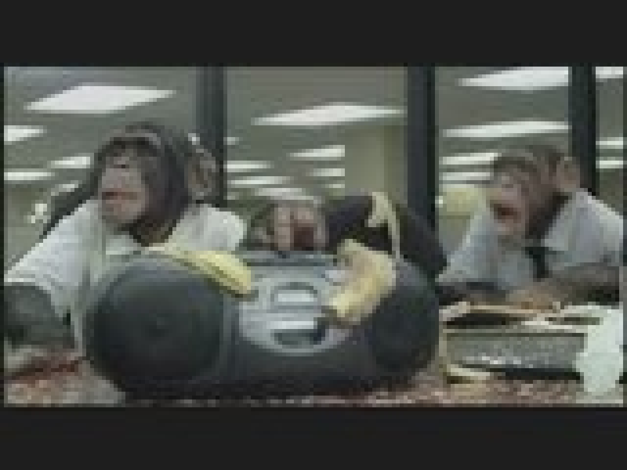 La r&eacute;union du lundi...